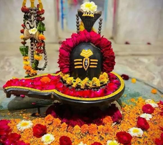 WhatsApp Image 2025-12-17 at 6.53.25 PM